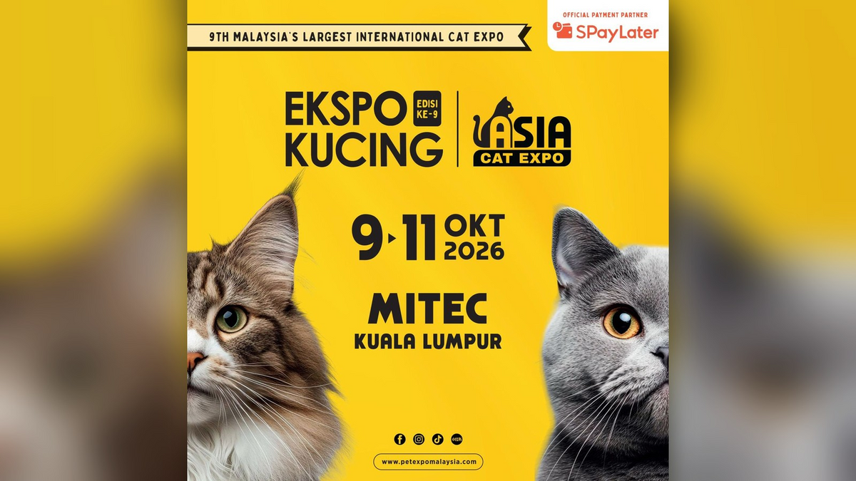 Ekspo Kucing 2026 at MITEC: What to Expect