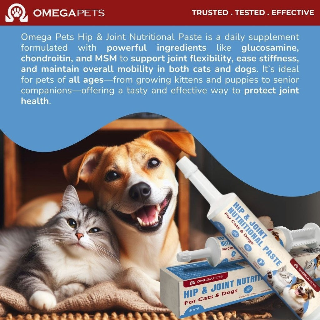 Omega Pets™ Cat and Dog Hip & Joint Nutritional Paste (60ml) – product image 9