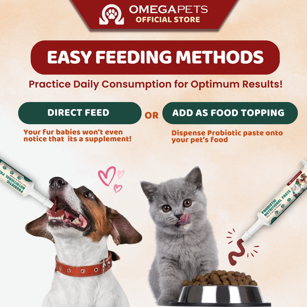 Omega Pets™ Probiotic Nutritional Paste (60ml) - Probiotic For Cat, Probiotic For Dog – product image 8