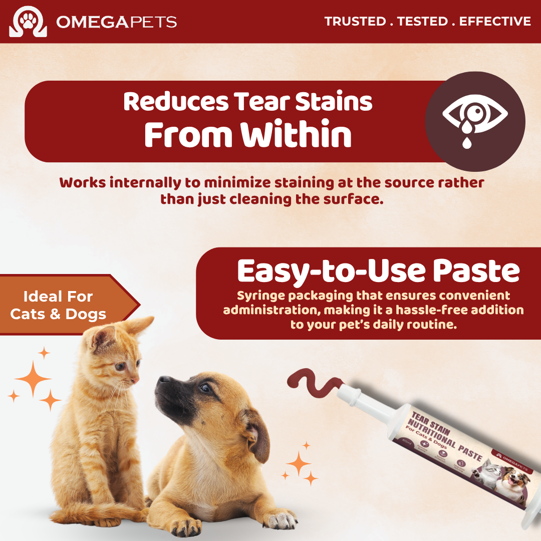 Omega Pets™ Tear Stain Nutritional Paste for Cats & Dogs (60g) – product image 7
