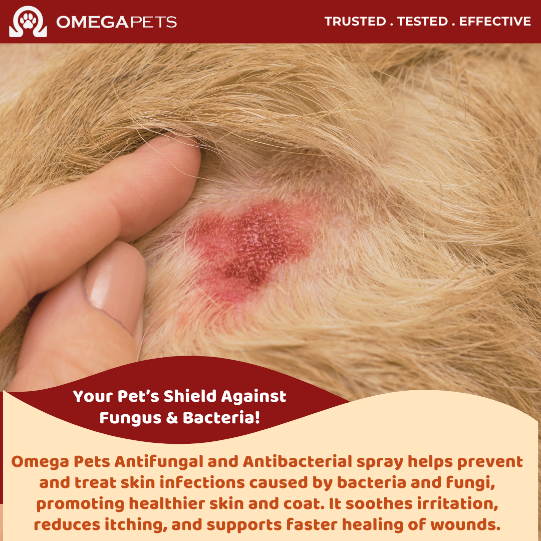 Omega Pets™ Antifungal & Antibacterial Spray (100ml) - Fungal Treatment, Pet Antibacterial Spray – product image 2