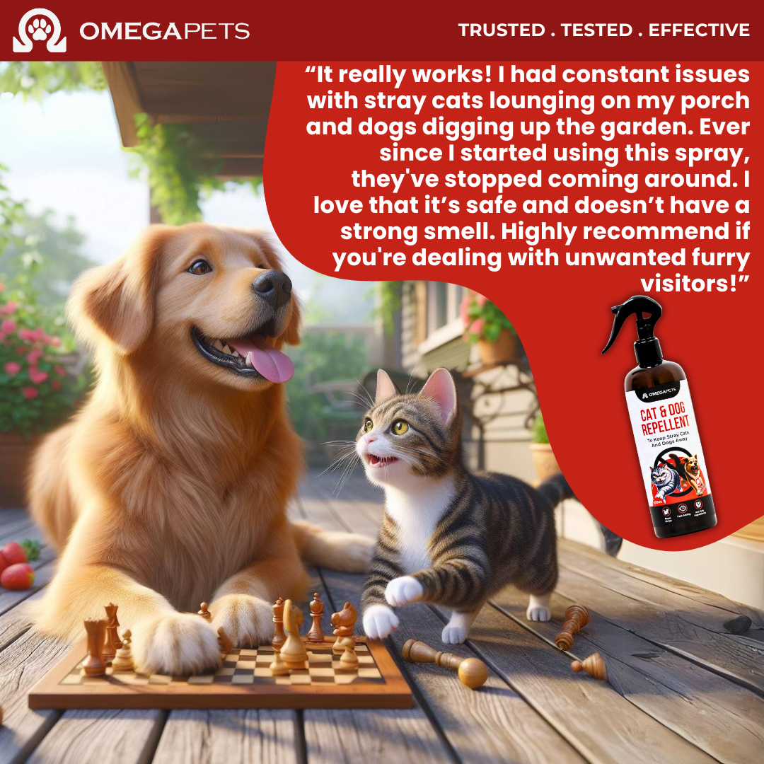 Omega Pets™ Cat & Dog Repellent (500ml) - Keep Stray Cats and Dogs Away – product image 6