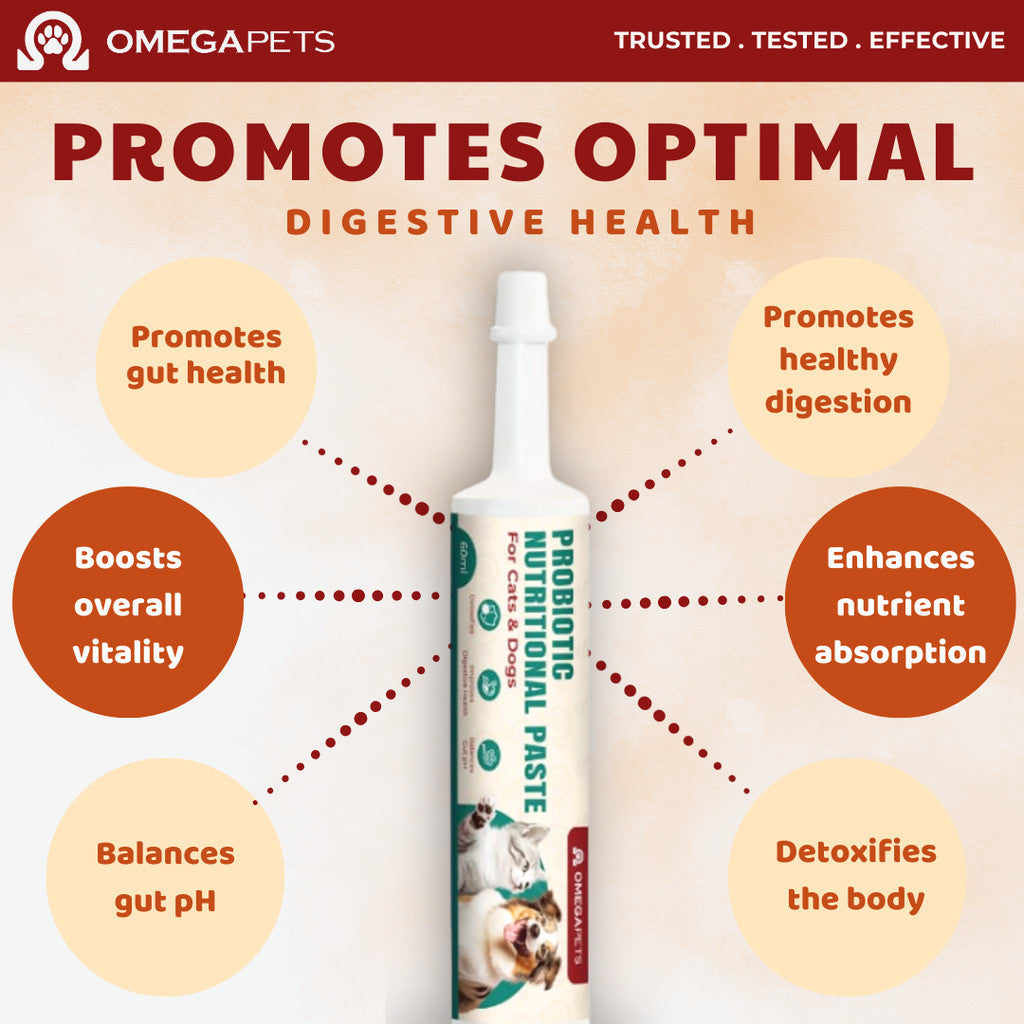 Omega Pets™ Probiotic Nutritional Paste (60ml) - Probiotic For Cat, Probiotic For Dog – product image 5