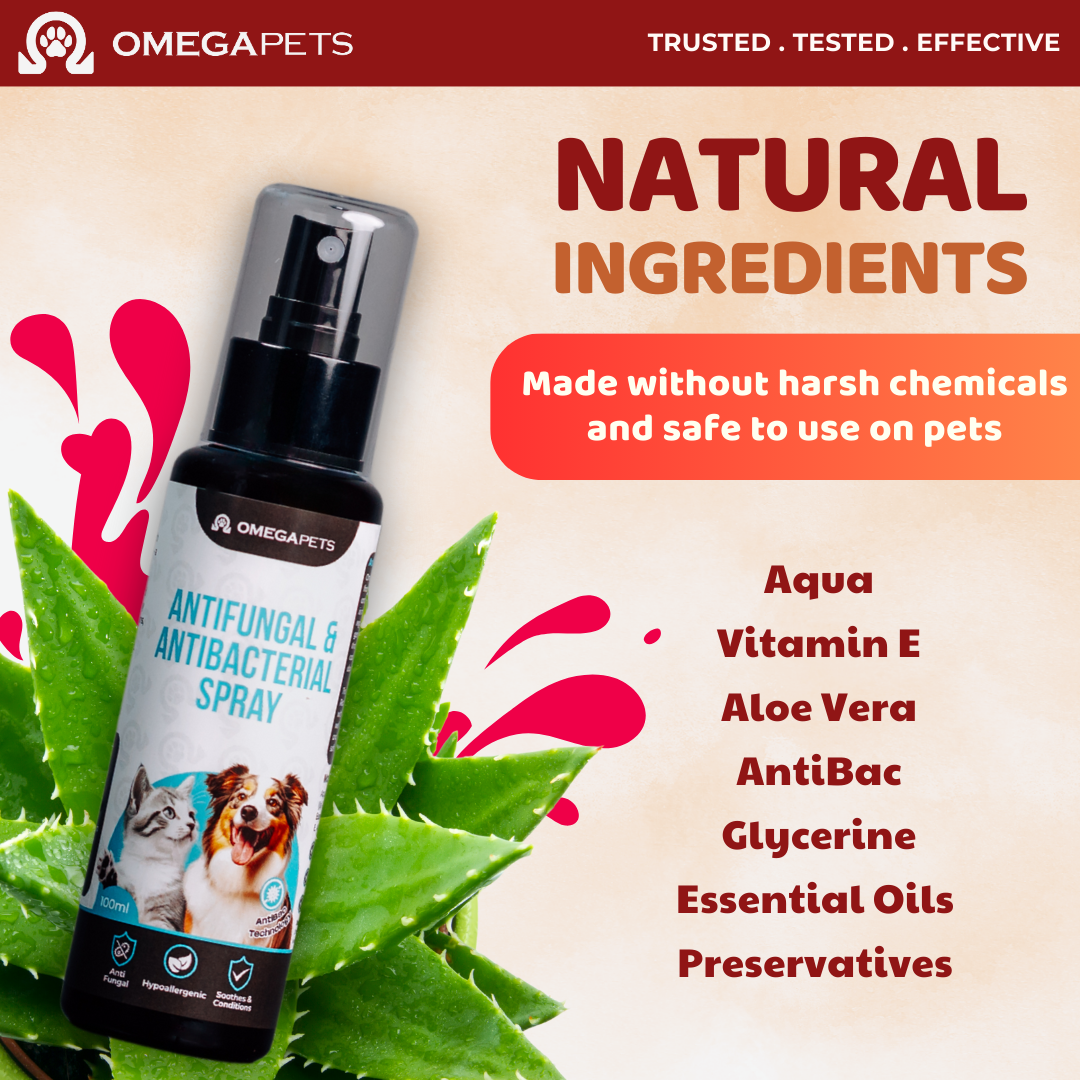 Omega Pets™ Antifungal & Antibacterial Spray (100ml) - Fungal Treatment, Pet Antibacterial Spray – product image 3