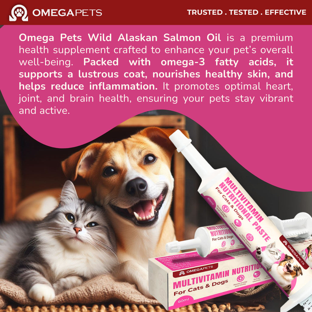 Omega Pets™ Multivitamin Nutritional Paste (60ml) - Pet Multivitamin, Multivitamin for Cat and Dogs – product image 9