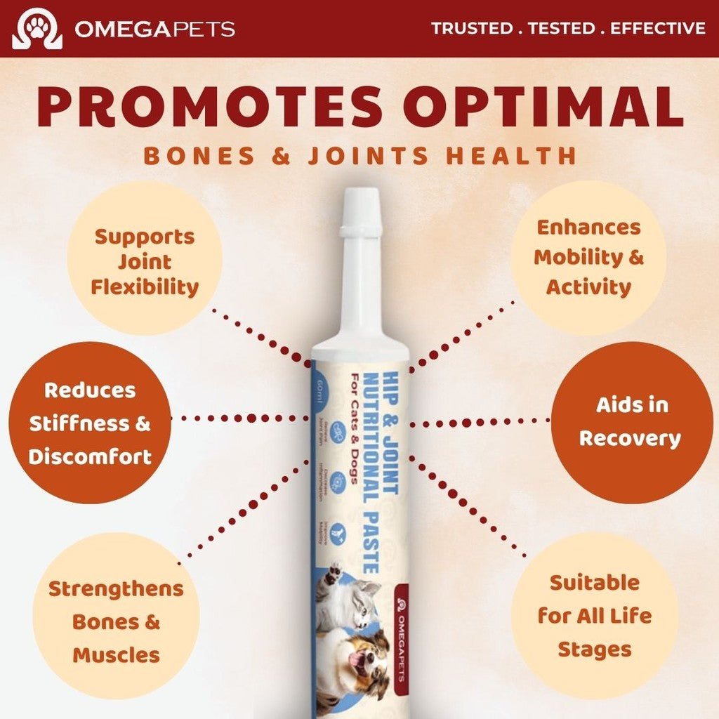 Omega Pets™ Cat and Dog Hip & Joint Nutritional Paste (60ml) – product image 6