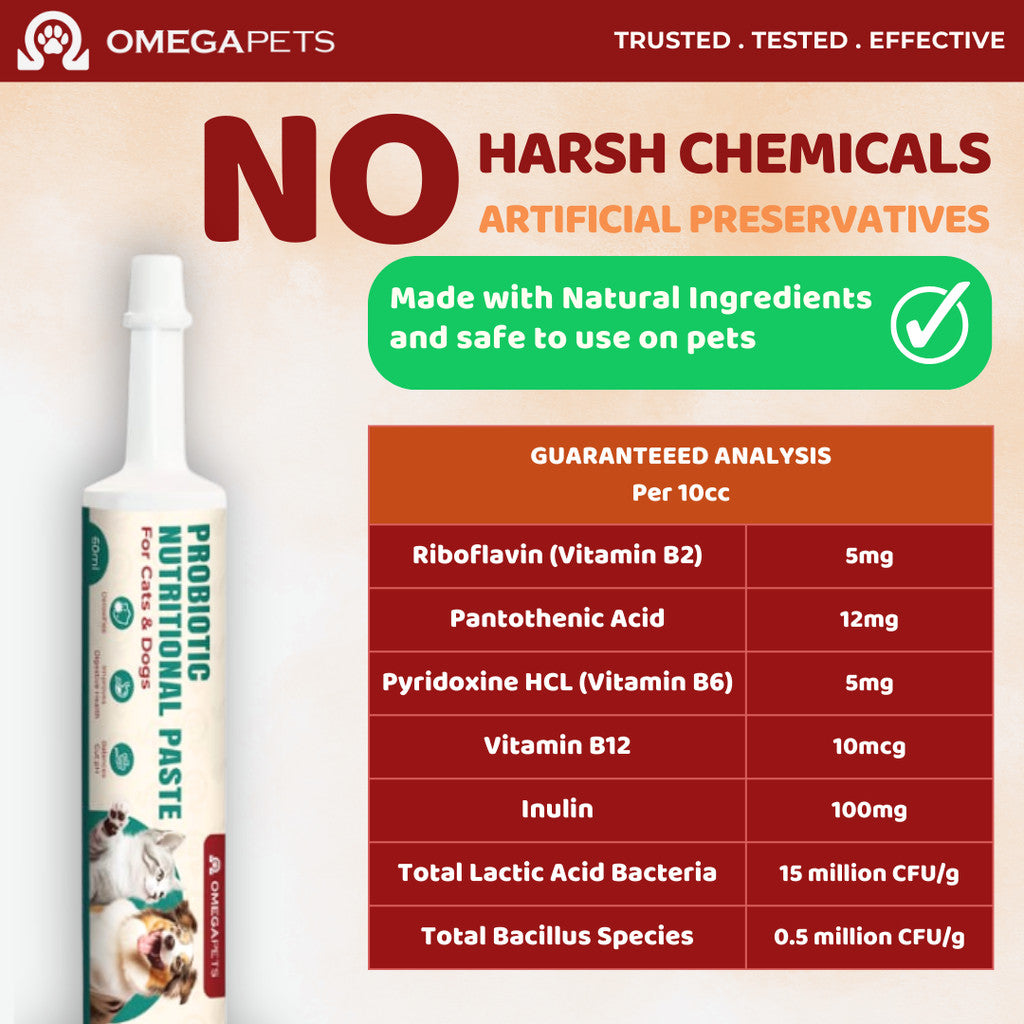 Omega Pets™ Probiotic Nutritional Paste (60ml) - Probiotic For Cat, Probiotic For Dog – product image 4