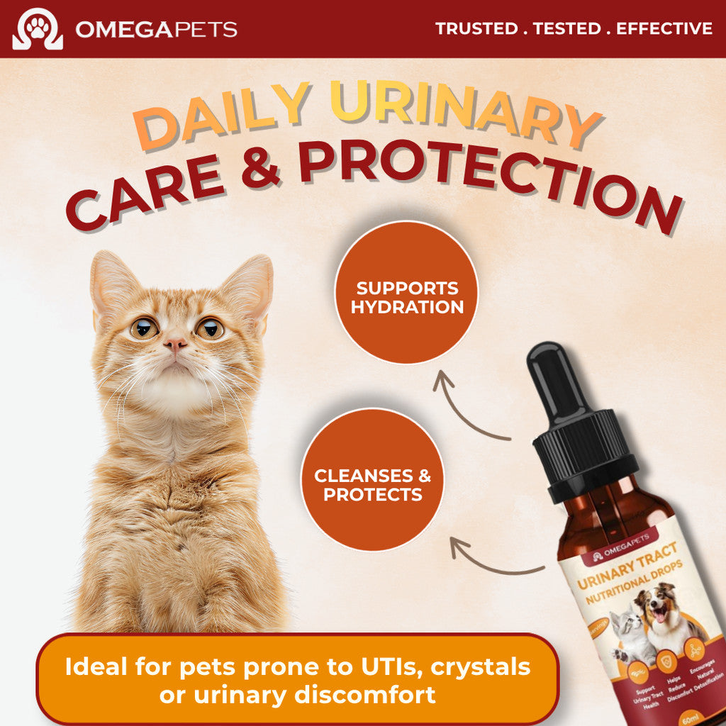 Omega Pets™ Urinary Tract Nutritional Drops for Cats & Dogs (60ml) – product image 3