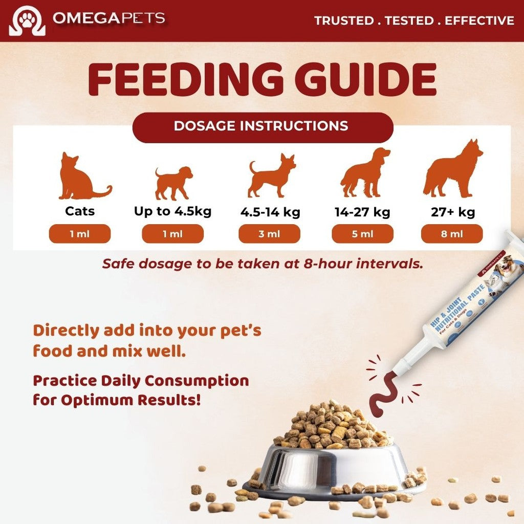 Omega Pets™ Cat and Dog Hip & Joint Nutritional Paste (60ml) – product image 8
