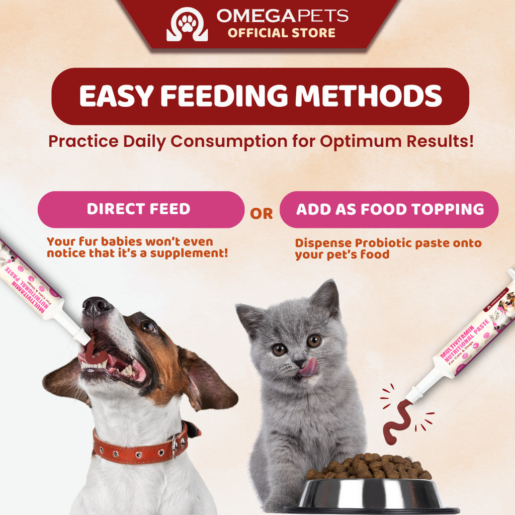 Omega Pets™ Multivitamin Nutritional Paste (60ml) - Pet Multivitamin, Multivitamin for Cat and Dogs – product image 8