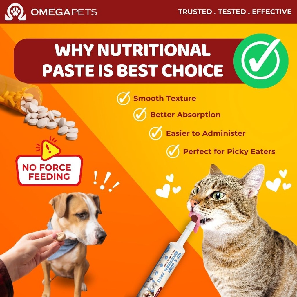 Omega Pets™ Cat and Dog Hip & Joint Nutritional Paste (60ml) – product image 4