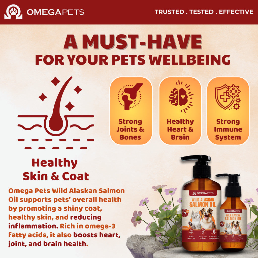 Omega Pets™ Wild Alaskan Salmon Oil (100ml/240ml) - Salmon Oil For Cat And Dog, Vitamin For Cat – product image 2