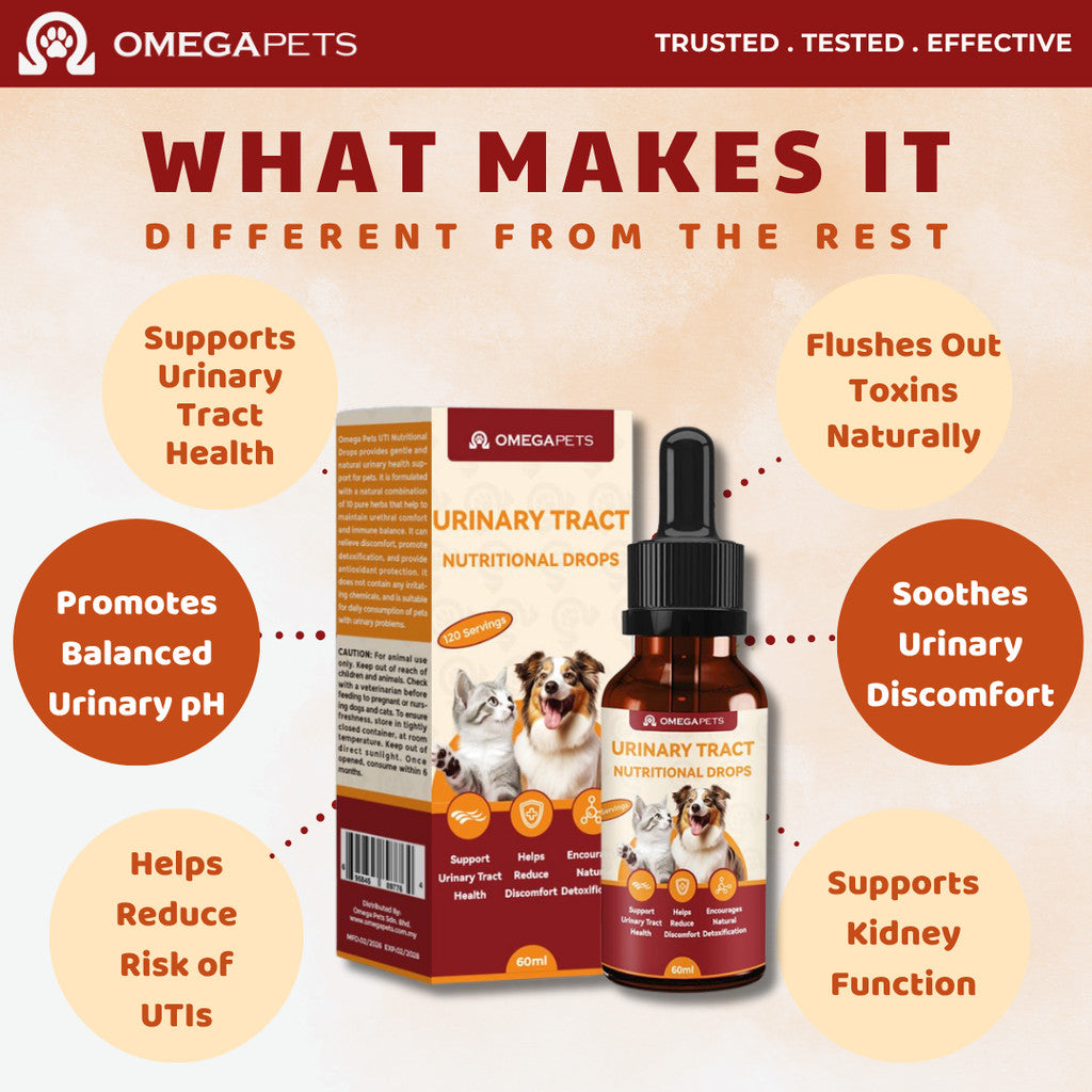Omega Pets™ Urinary Tract Nutritional Drops for Cats & Dogs (60ml) – product image 6