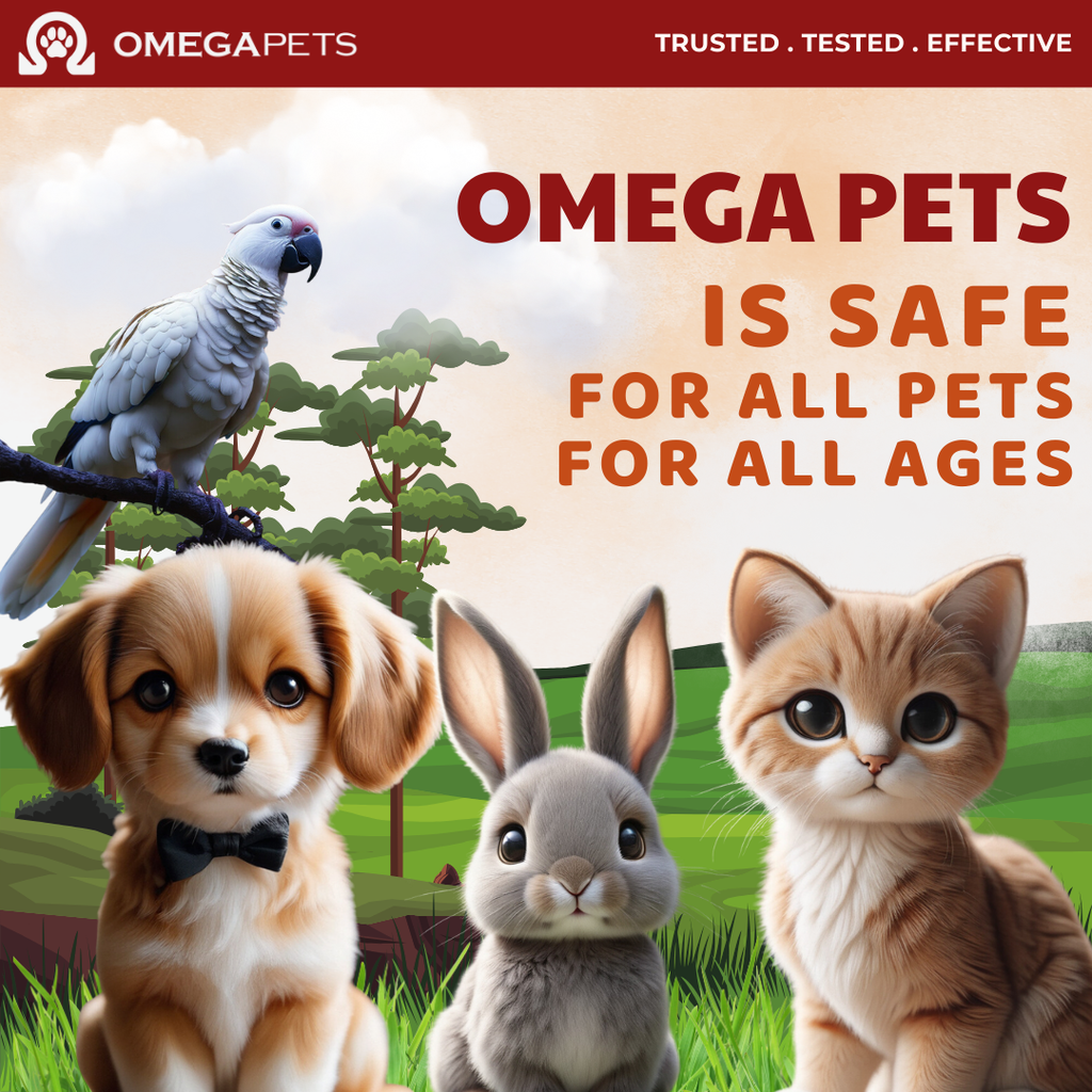 Omega Pets™ Flea & Tick Shampoo (500ml) – product image 8