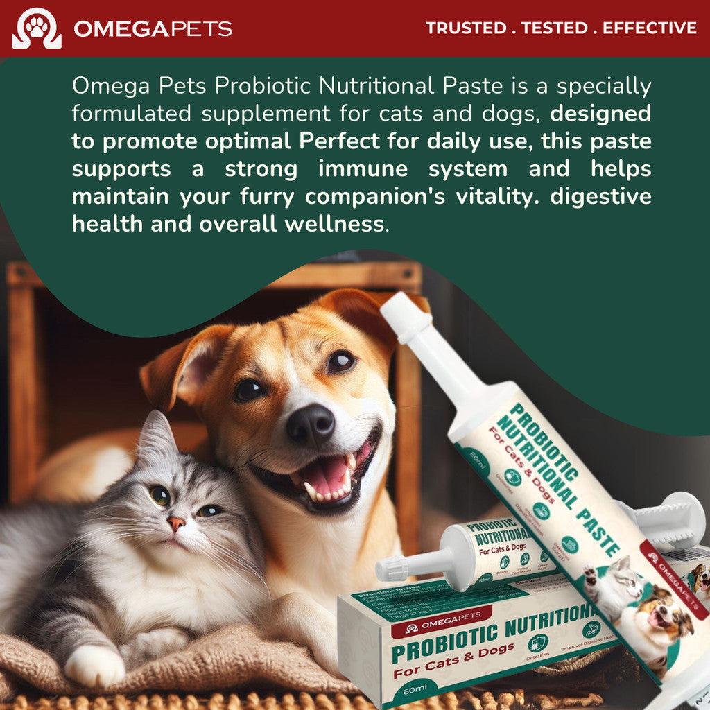 Omega Pets™ Probiotic Nutritional Paste (60ml) - Probiotic For Cat, Probiotic For Dog – product image 9
