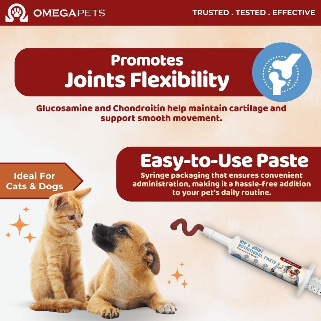 Omega Pets™ Cat and Dog Hip & Joint Nutritional Paste (60ml) – product image 3