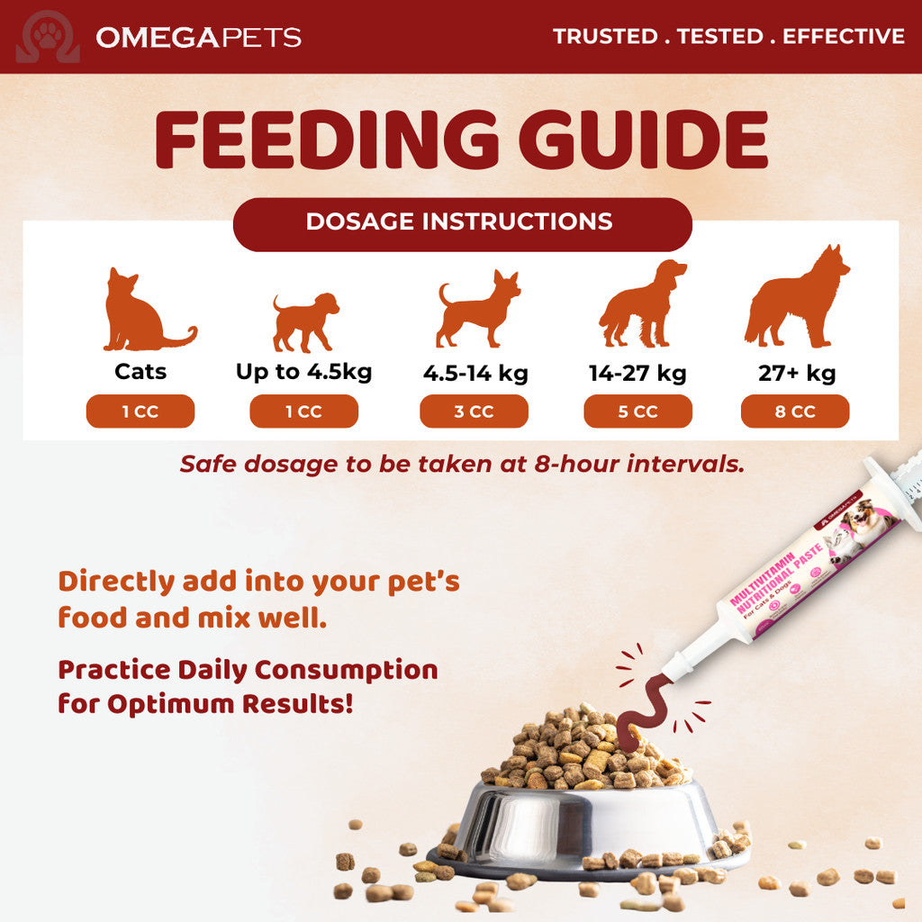 Omega Pets™ Multivitamin Nutritional Paste (60ml) - Pet Multivitamin, Multivitamin for Cat and Dogs – product image 7