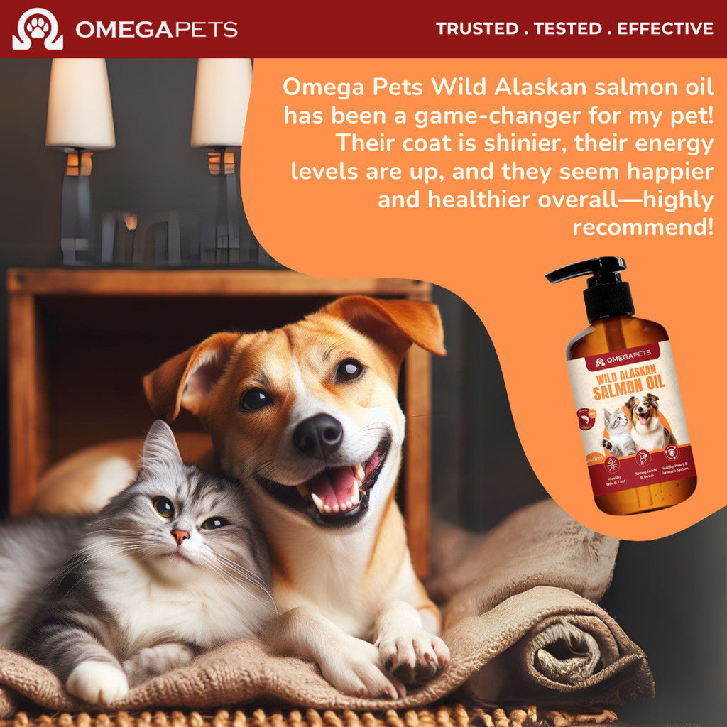 Omega Pets™ Wild Alaskan Salmon Oil (100ml/240ml) - Salmon Oil For Cat And Dog, Vitamin For Cat – product image 8
