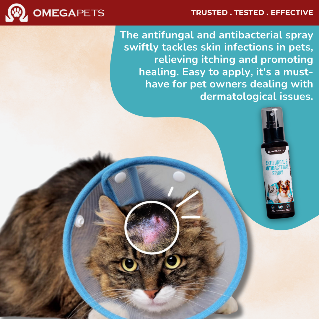Omega Pets™ Antifungal & Antibacterial Spray (100ml) - Fungal Treatment, Pet Antibacterial Spray – product image 6