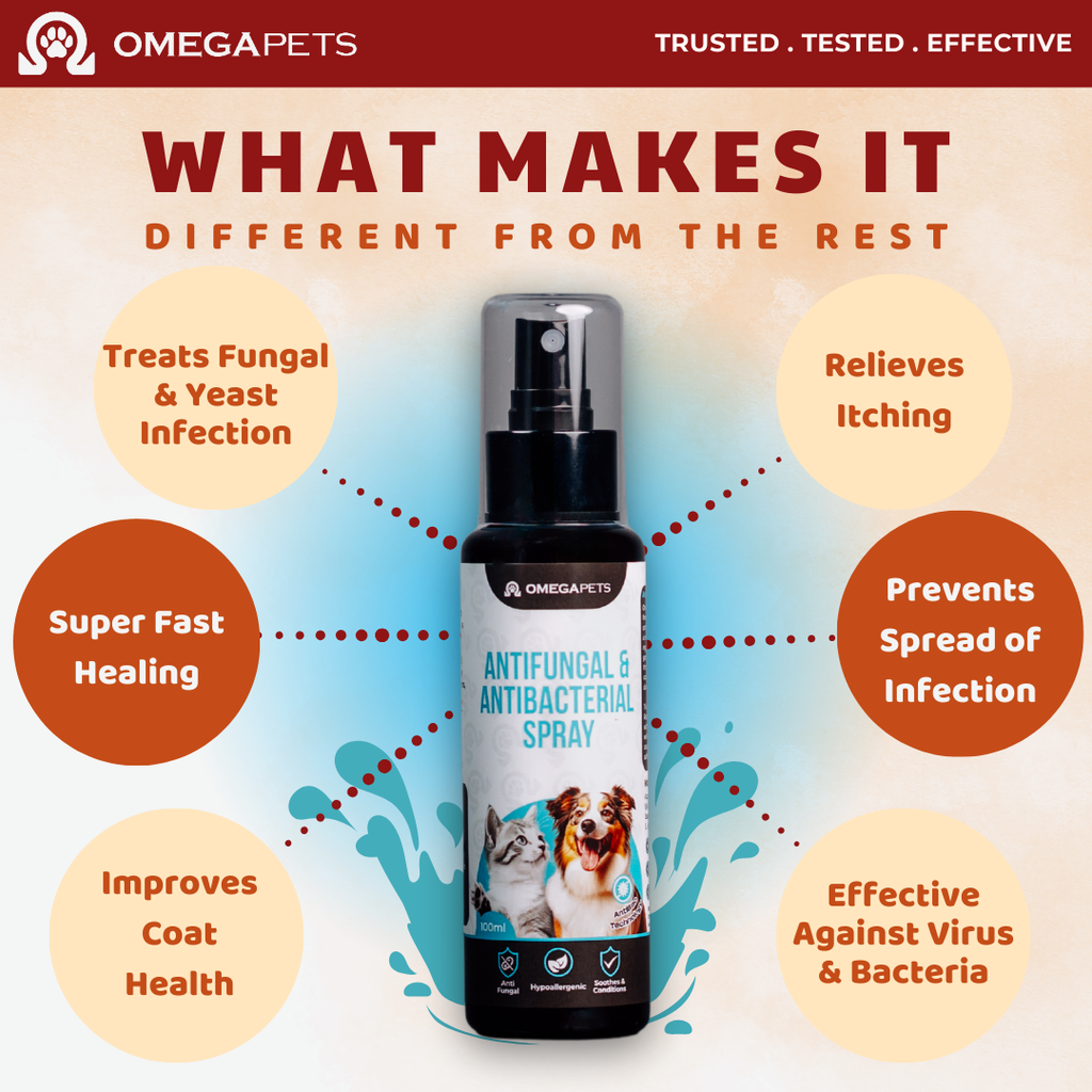 Omega Pets™ Antifungal & Antibacterial Spray (100ml) - Fungal Treatment, Pet Antibacterial Spray – product image 5