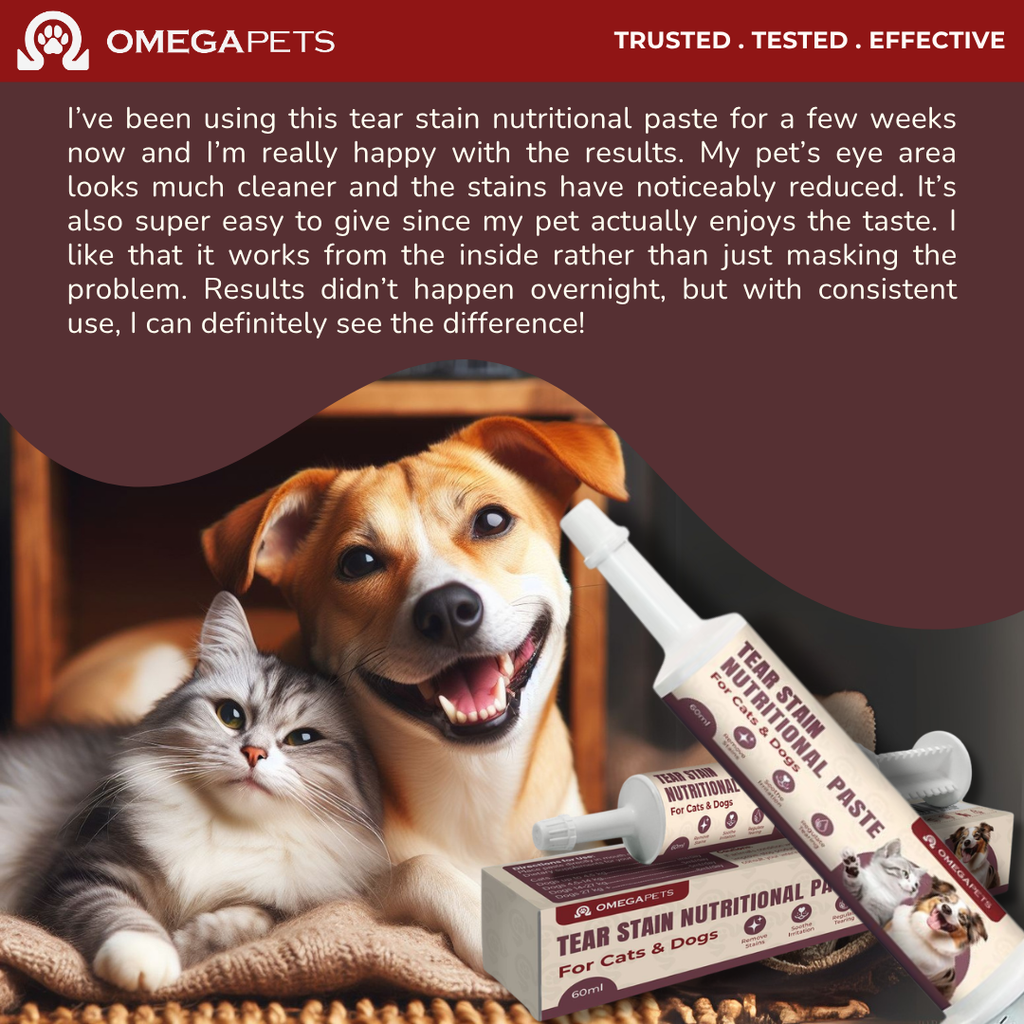 Omega Pets™ Tear Stain Nutritional Paste for Cats & Dogs (60g) – product image 9