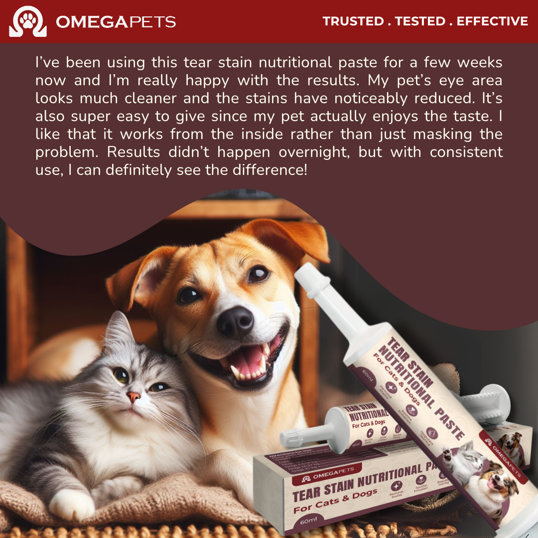 Omega Pets™ Tear Stain Nutritional Paste for Cats & Dogs (60g) – product image 9