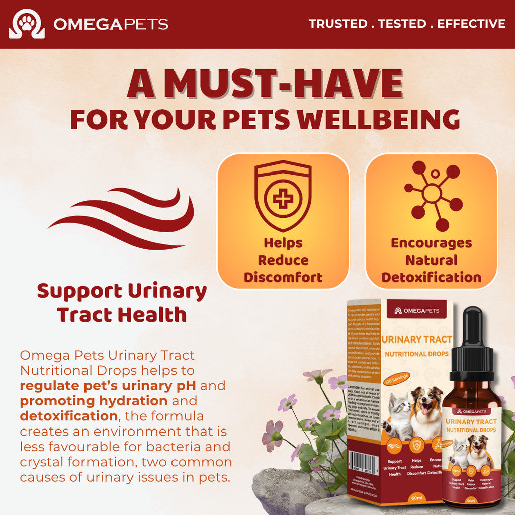 Omega Pets™ Urinary Tract Nutritional Drops for Cats & Dogs (60ml) – product image 2