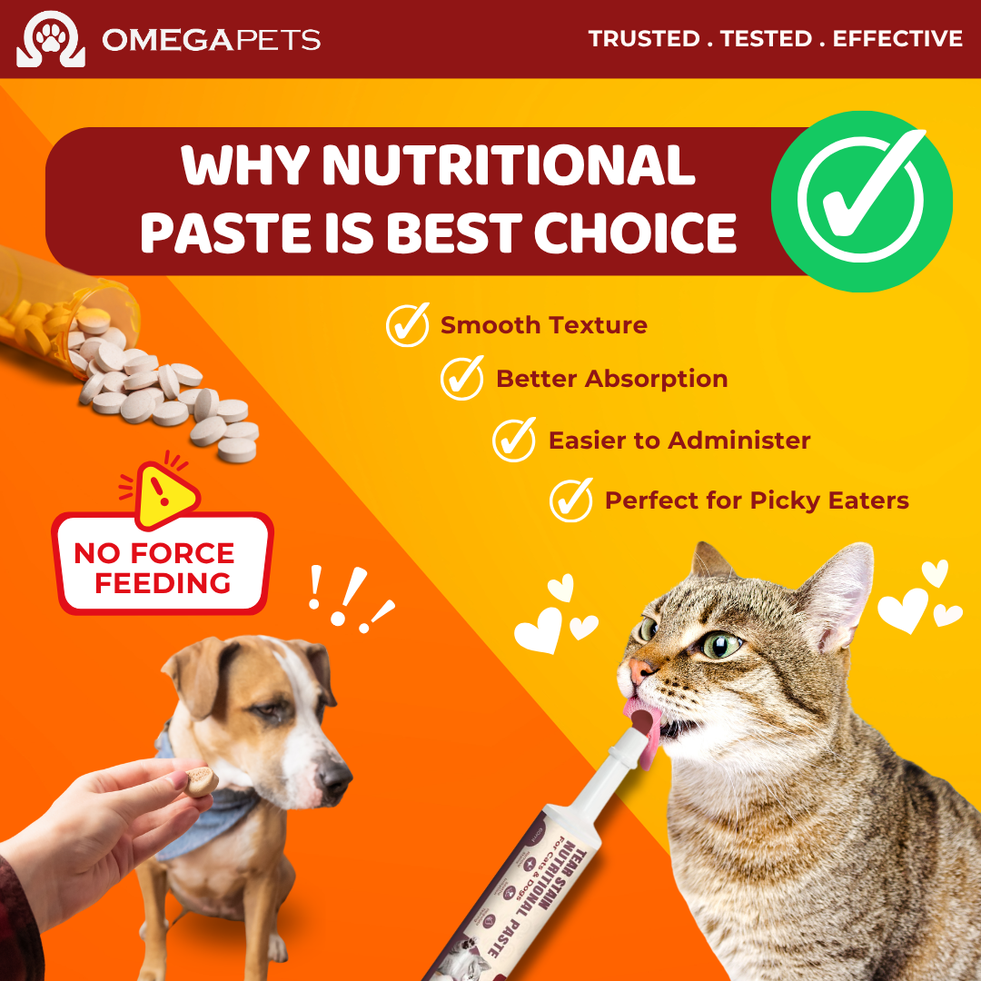 Omega Pets™ Tear Stain Nutritional Paste for Cats & Dogs (60g) – product image 5