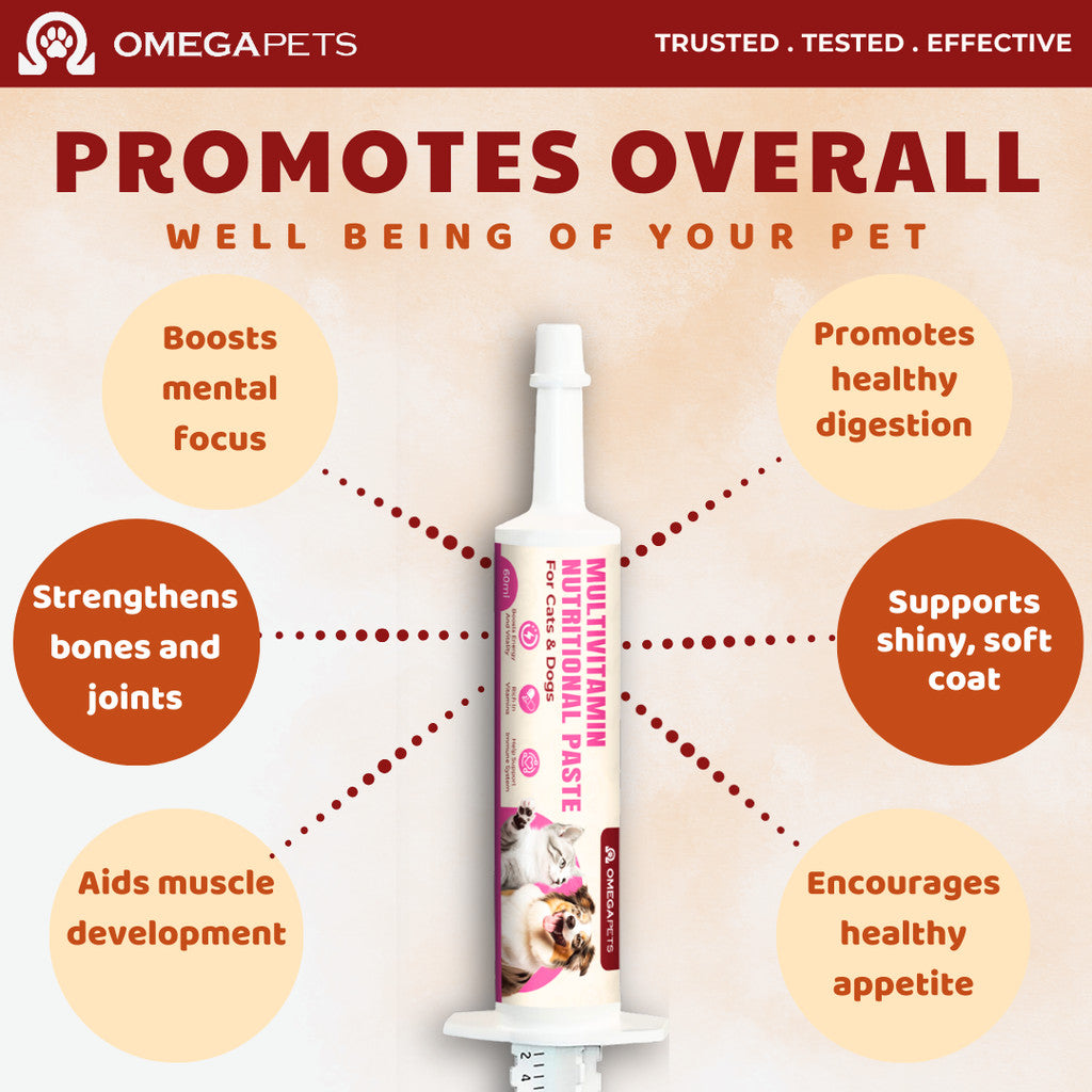 Omega Pets™ Multivitamin Nutritional Paste (60ml) - Pet Multivitamin, Multivitamin for Cat and Dogs – product image 5