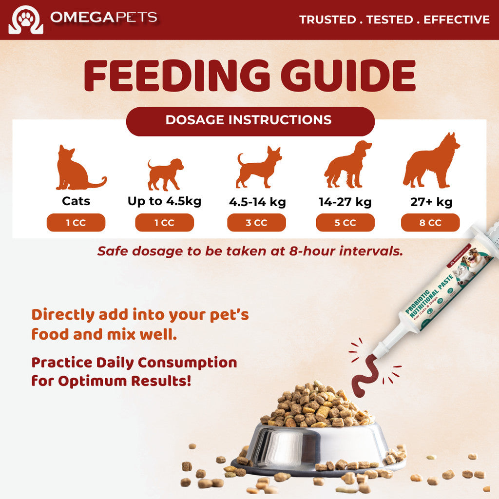 Omega Pets™ Probiotic Nutritional Paste (60ml) - Probiotic For Cat, Probiotic For Dog – product image 7